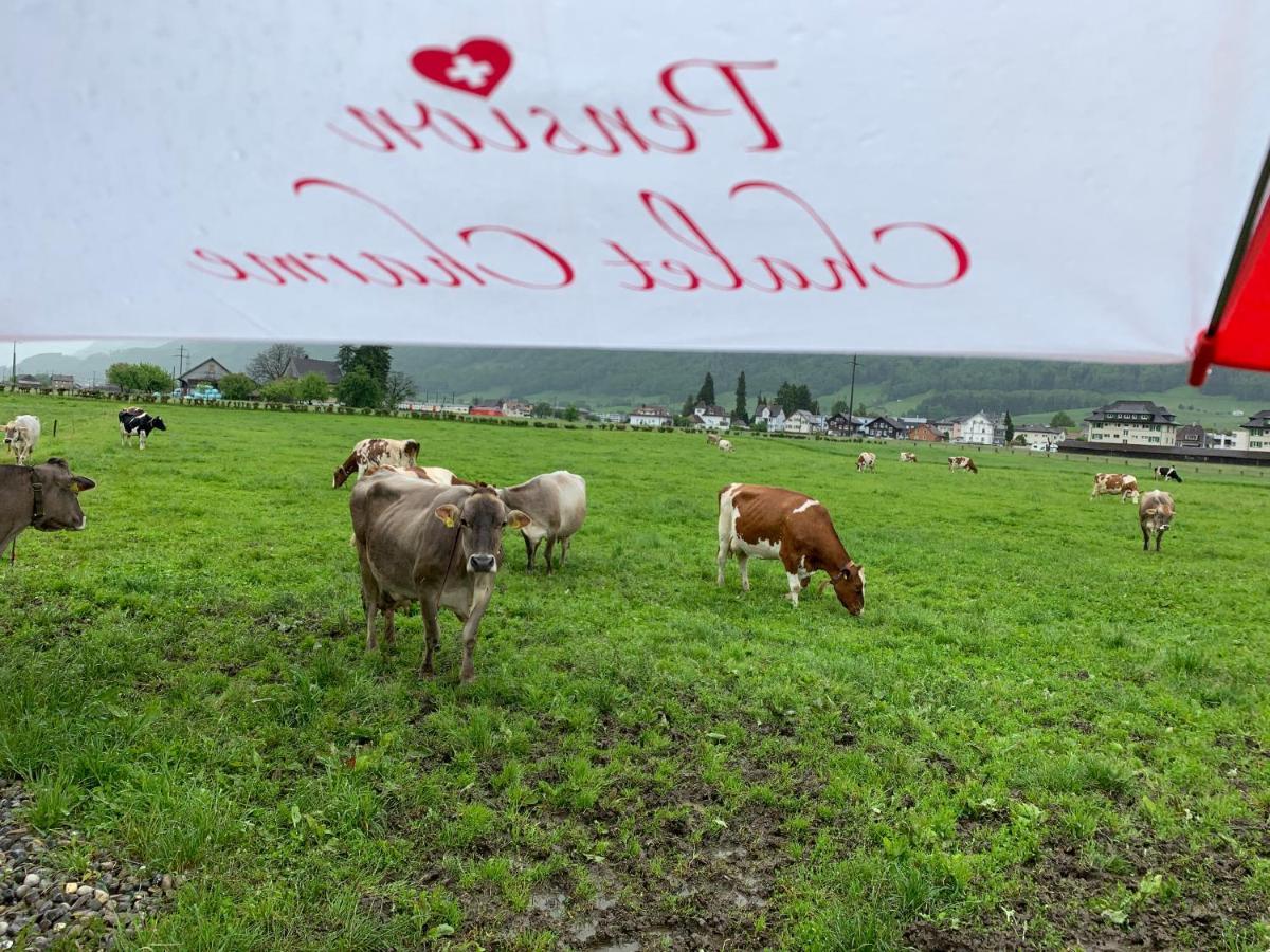 Pension Chalet Charme Siebnen Kültér fotó